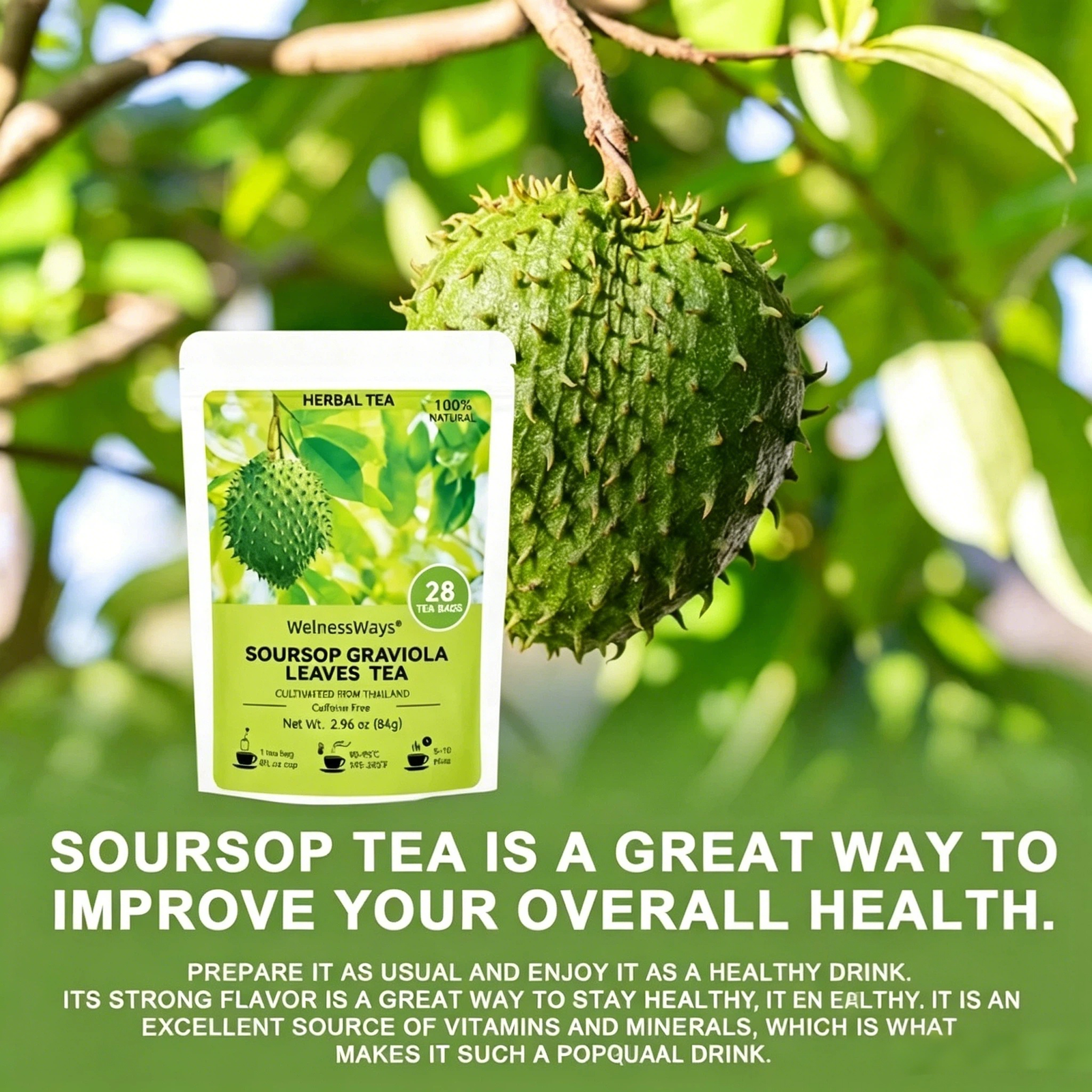 Custom Soursop Graviola Leaves Herbal Tea | Caffeine‑Free OEM Private‑Label Wellness Tea